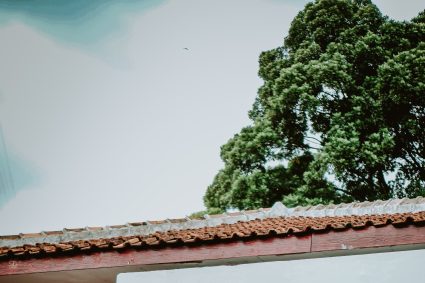 QUO VADIS SATYA WACANA?